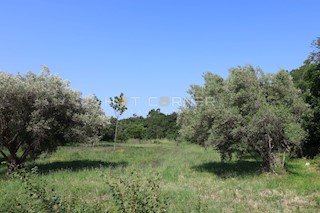 Terreno Duga Uvala, Marčana, 1.200m2