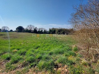 Terreno Valtura, Ližnjan, 3.000m2