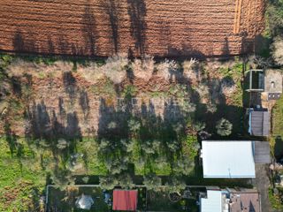 Casetta con Frutteto & Ulivi – Solo €150k a Banjole!