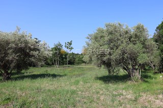 Terreno Duga Uvala, Marčana, 1.200m2