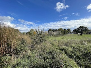 Terreno agricolo Šišan, Ližnjan, 1.500m2