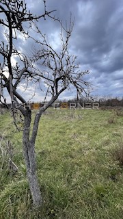 Terreno rurale Marčana, 5060 m2