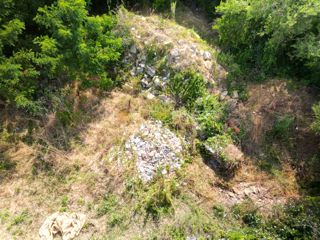 Terreno con ulivi, bosco e pascolo