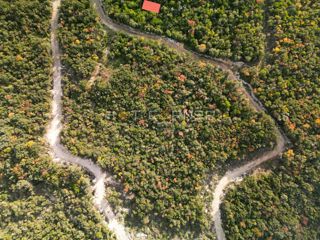 Bosco di 15.674 m² vicino a Rovigno