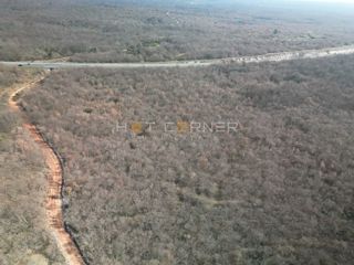 50.848 m² bosco e prati – solo 3,5 €/m²!