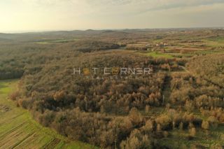 Terreno agricolo Vrsar, 8.000m2
