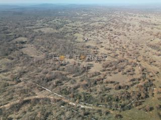 Terreno agricolo istriano 20.742 m² – solo 4 €/m²!