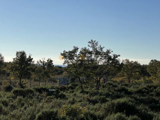 Terreno Barbariga, Vodnjan, 999m2