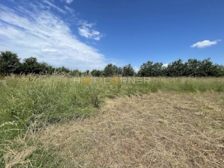 Terreno agricolo Vodnjan, 1.600m2