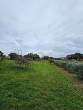 Bellissimo terreno edificabile vicino a Rovigno – 5.060 m²