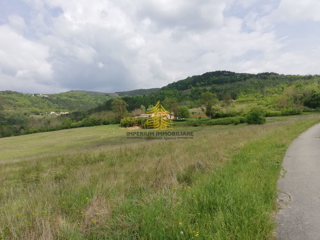 Terreno, Vendita, Motovun, Sveti Bartol, 53183m2, Edificabile