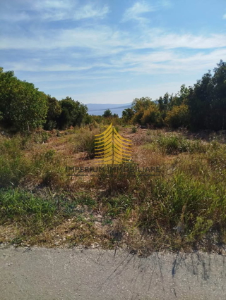 Terreno, Vendita, Jasenice, Maslenica, 548m2, Edificabile