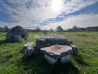 Vodnjan, terreno agricolo con ulivi