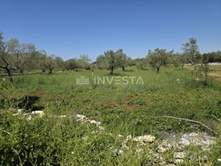 Nei dintorni di Fasana, terreno agricolo spazioso e ben curato