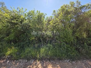 Zona di Fasana, Peroi, bosco a 450 m dal mare