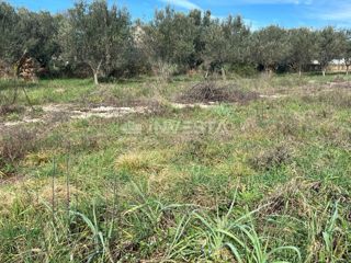 Terreno edificabile in una zona tranquilla e ambita
