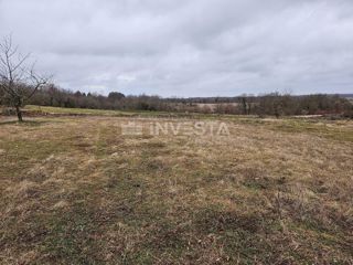 Gimino, ampio terreno edificabile-agricolo, 15.258 m2