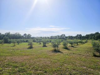 Opportunità di investimento nel sud dell'Istria – Progetto turistico-agricolo