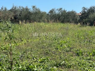 Pola, Terreno edificabile di 1260 m²