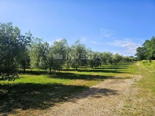 Opportunità di investimento nel sud dell'Istria – Progetto turistico