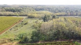 Terreno agricolo vicino alla strada