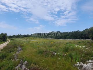 Rovigno, terreno agricolo di 21.206 m² con deposito registrato di 14 m²