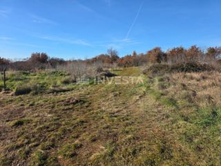 Terreno Vodnjan, 1.009m2