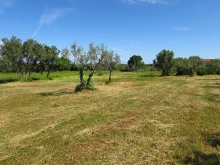 Terreno Peroj, Vodnjan, 2.327m2