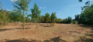 Terreno Čabrunići, Svetvinčenat, 965m2