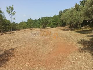 Terreno Pavićini, Marčana, 1.195m2