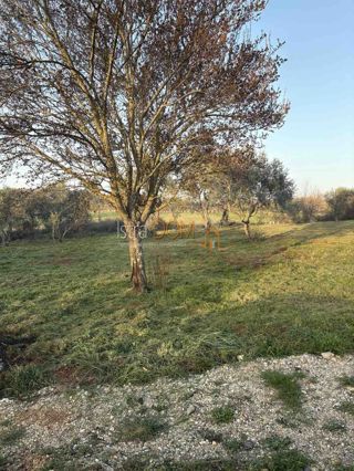 Terreno Šišan, Ližnjan, 1.025m2