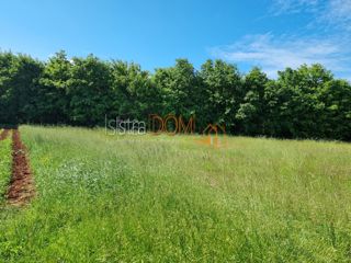 Terreno Orihi, Barban, 2.988m2