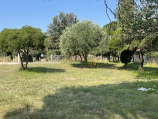 Terreno Barbariga, Vodnjan, 547m2