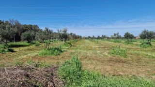 Terreno Valdebek, Pula, 9.603m2