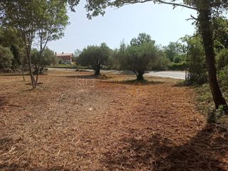 Terreno Pavićini, Marčana, 1.196m2