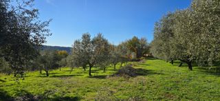 Terreno Pićan, 22,44m2