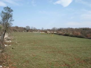 Terreno Modrušani, Žminj, 72.561m2