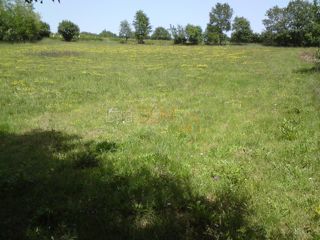 Terreno Rebići, Barban, 3.380m2