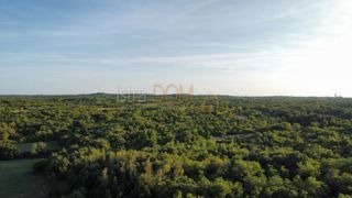 Terreno Vodnjan, 8.000m2