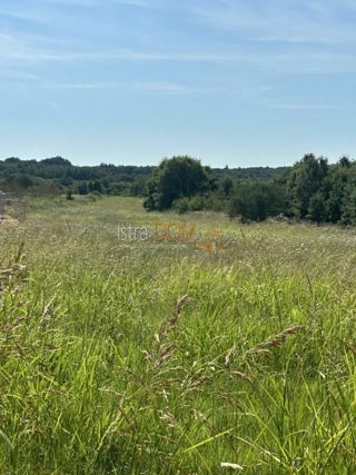 Terreno Želiski, Barban, 5.832m2