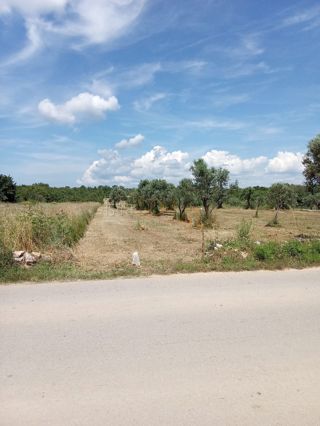 Terreno Fažana, 5.727m2