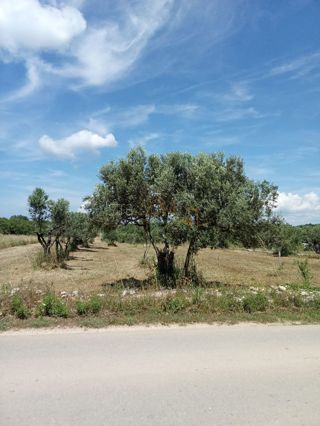 Terreno Fažana, 1.708m2