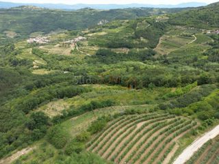 Terreno Kaldir, Motovun, 2.679m2