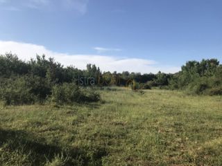 Terreno Manjadvorci, Barban, 970m2