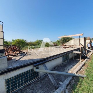 Istria, Parenzo 2 km - Terreno edificabile per il fine settimana con un bellissimo frutteto e una costruzione legalizzata!!
