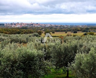 OPPORTUNITÀ! Bellissimo, ampio appartamento con cortile - vista panoramica sul mare!!