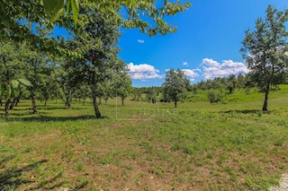 Poreč, dintorni, terreno ai margini della zona edificabile