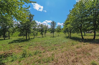 Parenzo, dintorni, terreno edificabile immerso nella natura