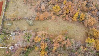 Grisignana, dintorni, terra immersa nella natura