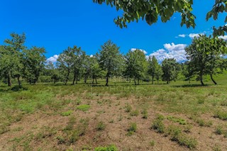 Parenzo, dintorni, terreno edificabile in un ambiente tranquillo